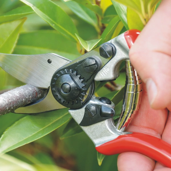 Секатор FELCO 6 Секатор FELCO 6